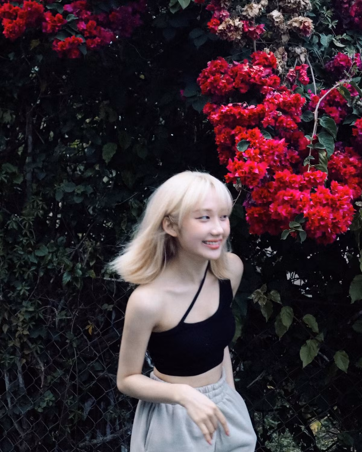 Trong loạt ảnh mới nhất, hot girl Mina Young chụp ảnh bên cạnh giàn hoa giấy đang nở. Tưởng sẽ là một concept nhẹ nhàng như nàng thơ, vậy mà nữ streamer lại có phong cách thời trang khá ấn tượng.