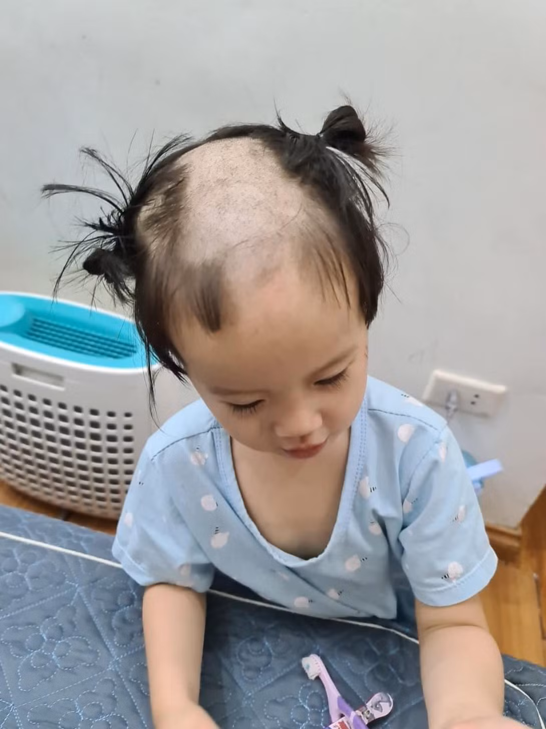 Mới đây, lại thêm một trường hợp nữa khiến nhiều người phải bỏ suy nghĩ về việc đẻ con gái ngoan hiền, dễ bảo. Chẳng là trong lúc mẹ đi vắng, bố cũng đang bận một số việc, cô bé Boo con chị Ngân (sống tại Hà Nội) tình cờ lấy được chiếc tông đơ từ trên cao. Vốn tò mò nên cô bé cũng bắt chước bố cua vài đường xem sao. Kết quả là đi luôn phần tóc mái, còn hai bên vẫn vẹn nguyên.