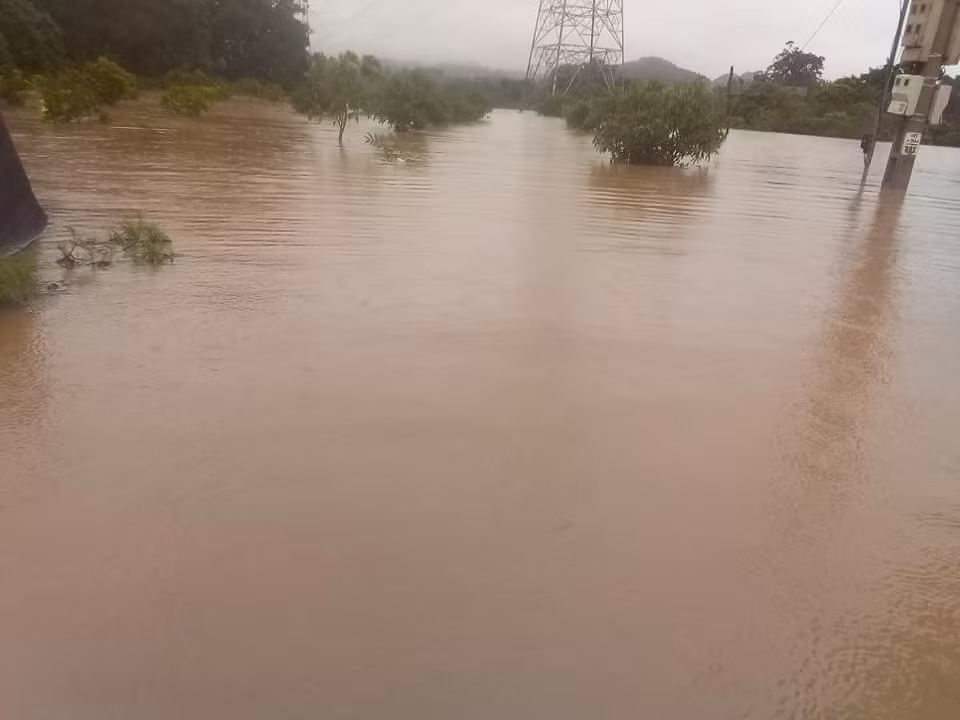 Mưa lớn còn gây ngập lụt nghiêm trọng tại các xã Đông Sang, Tân Lập, Thị trấn Mộc Châu...huyện Mộc Châu và các xã Chiềng Xuân, Tân Xuân của huyện Vân Hồ.