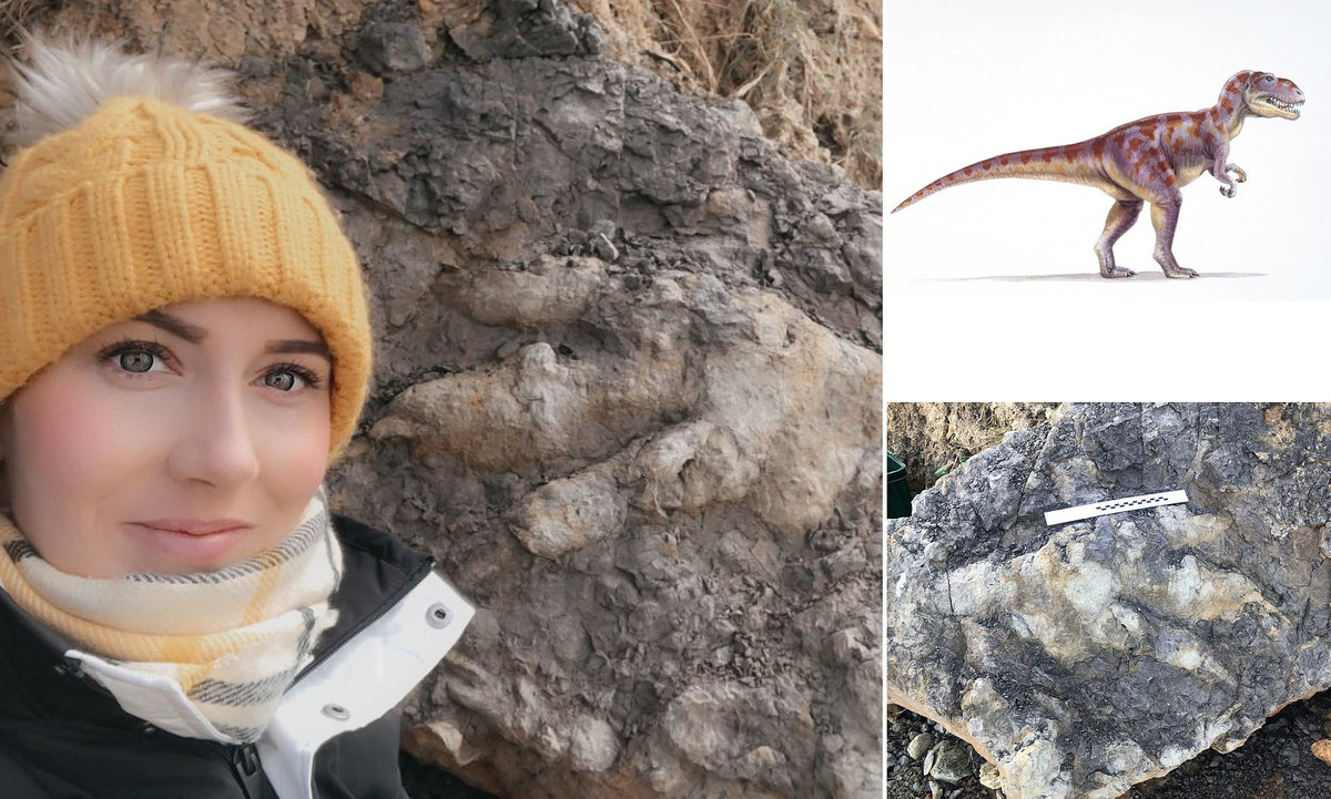 Khi đến Yorkshire, Anh, nhà khảo cổ học Marie Woods tình cờ phát hiện dấu chân khủng long hóa thạch. Thông qua các kiểm tra, phân tích, dấu chân được xác định có niên đại 175 triệu năm tuổi.