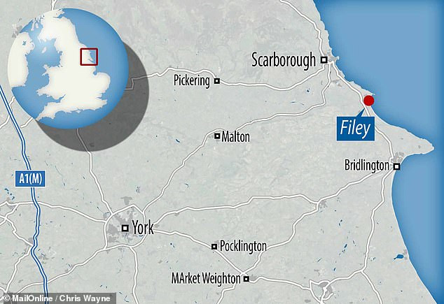 Các chuyên gia sẽ tiến hành những nghiên cứu khác nhằm tìm ra chính xác đó là dấu chân của loài khủng long nào cũng như tìm hiểu thói quen sinh hoạt của chúng.