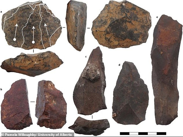 Chính tại nơi này, các nhà khảo cổ còn tìm thấy nhiều mảnh xương động vật hé lộ chúng bị người xưa giết để lấy thịt.