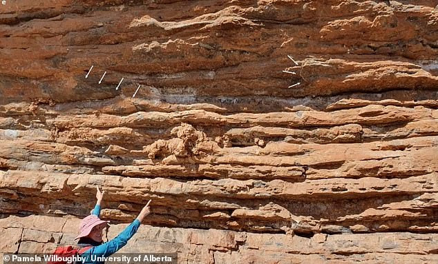 Thêm nữa, các chuyên gia tìm thấy 22 tinh thể canxit trắng có kích thước tương đương lòng bàn tay con người hoặc nhỏ hơn.