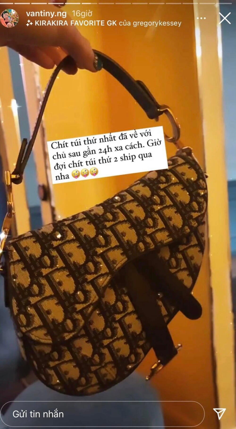 Con dau 'ong trum dien tu Sai Gon' bo quen 2 chiec tui hang hieu lien luc.-Hinh-4