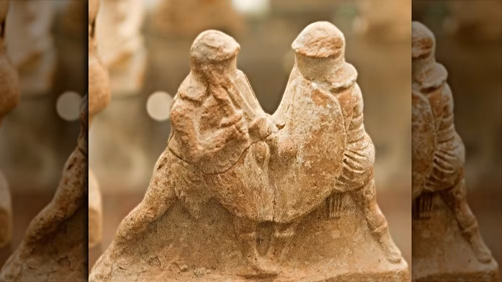 Thế nhưng, trên thực tế, phụ nữ cũng trở thành võ sĩ giác đấu. Số lượng nữ võ sĩ giác đấu không nhiều nên thông tin về họ ít được biết đến.