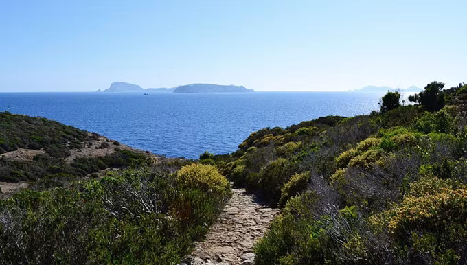 Khi đến hòn đảo Zannone, du khách sẽ phải rời đảo bằng thuyền trước 5h chiều. Không ai được phép ở qua đêm trên hòn đảo.