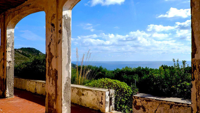 Theo đó, nhiều du khách ghé thăm hòn đảo Zannone để ngắm nhìn, chơi đùa cùng với đàn cừu.