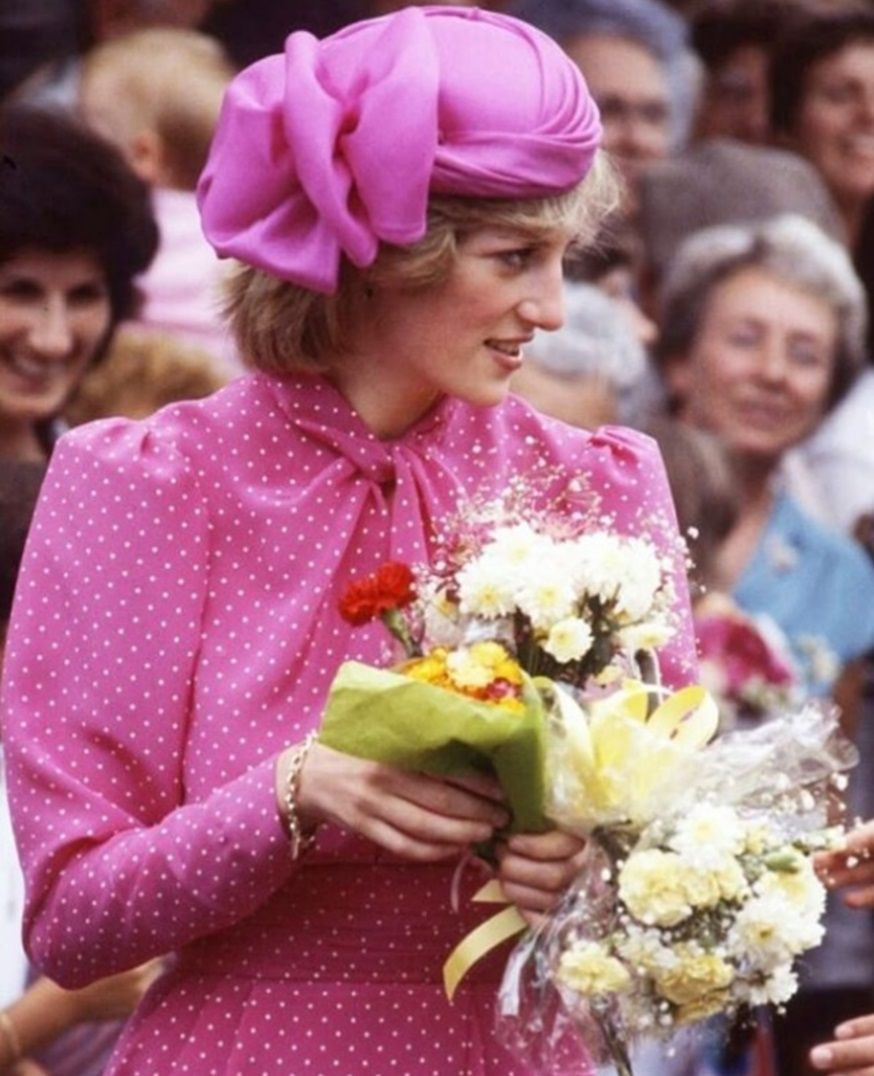 Thêm nữa, Công nương Diana còn than phiền với quản gia rằng bị một "thế lực bí ẩn" theo dõi và nghe lén. Dù vậy, bà không nhận sự bảo vệ của cảnh sát vì cho rằng họ bị "kẻ xấu" thao túng. Thậm chí, Công nương Diana còn nói về việc bản thân nghi ngờ vài người lên kế hoạch cho vụ tai nạn xe hơi nhằm vào bà.