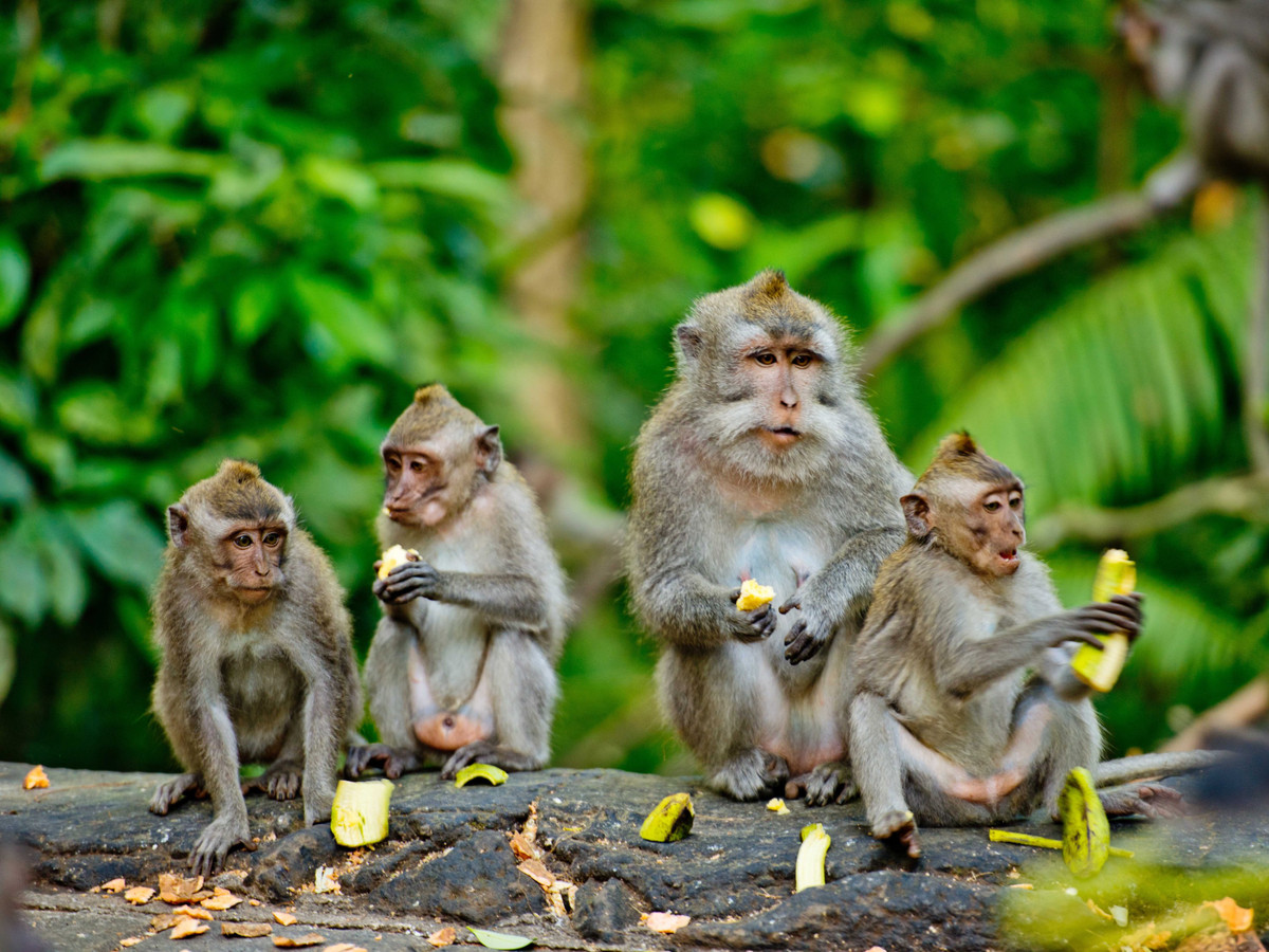 Hiện đảo Morgan thuộc sự sở hữu và quản lý của ở Tài nguyên South Carolina. Chúng được bảo vệ theo luật liên bang.
