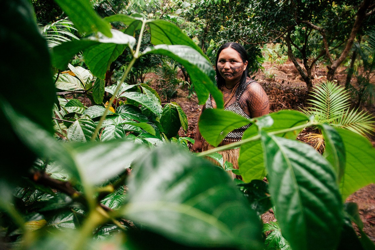 Thêm nữa, rừng nhiệt đới Amazon cung cấp 20% lượng nước ngọt không đóng băng thông qua hệ thống sông Amazon - con sông dài thứ 2 trên thế giới.