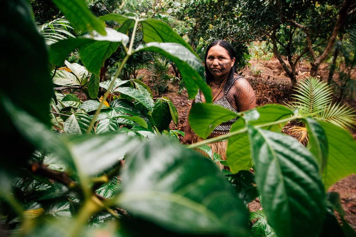 Thêm nữa, rừng nhiệt đới Amazon cung cấp 20% lượng nước ngọt không đóng băng thông qua hệ thống sông Amazon - con sông dài thứ 2 trên thế giới.