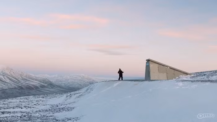 Để phòng ngừa thảm họa xảy ra, Oreo bọc những gói bánh bằng bằng sợi mylar. Loại vật liệu này có thể chịu được nhiệt độ từ -80 độ C cho đến 300 độ C.