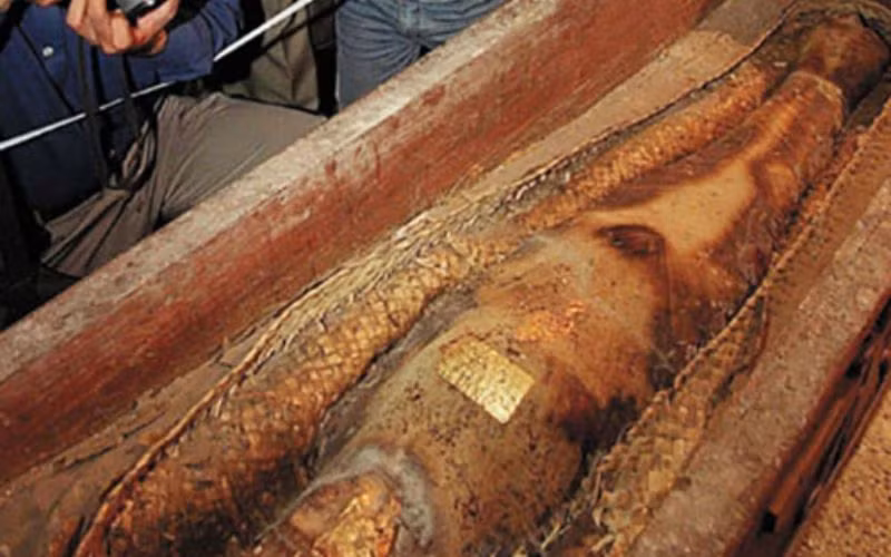 Ky an rung ron vu gia mao xac uop cong chua Ba Tu