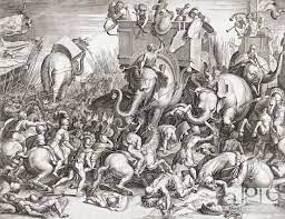 Dù sở hữu đội voi chiến hung hãn nhưng Ba Tư không thể đánh bại đội quân bách chiến bách thắng của Alexander Đại đế.