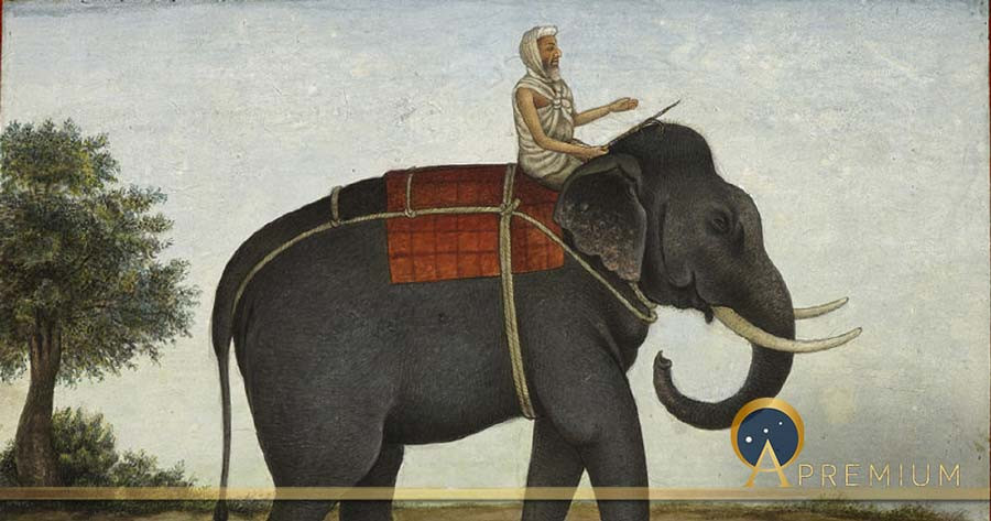 Vào thời cổ đại, đàn voi chiến hung dữ trở thành một lực lượng quan trọng trong quân đội của một số nền văn minh.