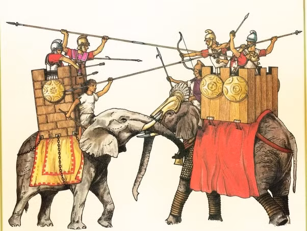 Sau khi giành được thắng lợi trước Ba Tư, ông hoàng Macedonia nhận thấy đàn voi chiến của kẻ thù có ưu điểm nên thu nạp chúng vào đội quân của mình.