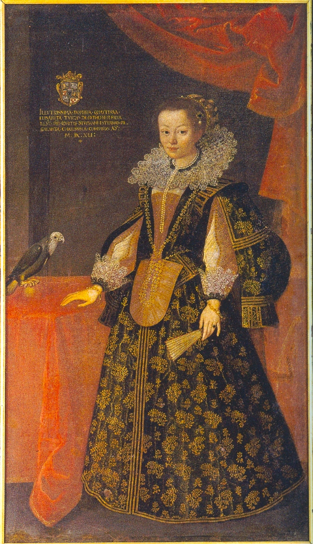 Trước sức ép từ dư luận, giới chức Hungary tiến hành điều tra và phát hiện tội ác man rợ của nữ bá tước Elizabeth. Người ta tìm được những bằng chứng cho thấy bà sát hại hơn 600 phụ nữ ngay tại nơi ở của mình. Do xuất thân trong gia đình quý tộc và quyền lực nên nữ bá tước Elizabeth tránh bị xử tử. Thay vào đó, bà chỉ bị giam cầm suốt đời trong lâu đài tội ác của mình.