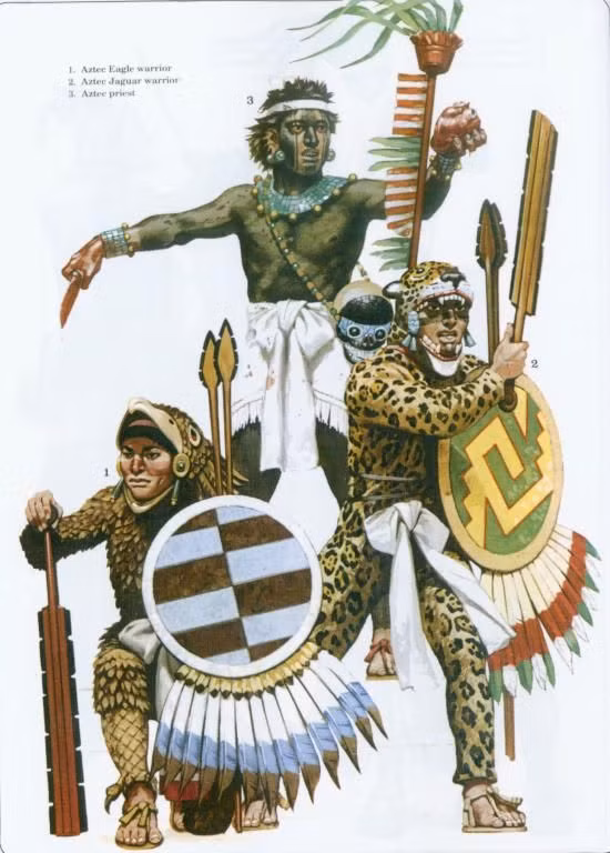 Những chiến binh lập được nhiều công thì được ban thưởng nhiều vàng bạc, đất đai, nô lệ... Họ được cộng đồng kính trọng, ca ngợi về khả năng chiến đấu giỏi, anh dũng, thiện chiến.