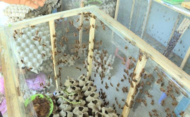 Lâu nay, các loài động vật có nọc độc thường được mô tả là những sinh vật gớm ghiếc, có hại.