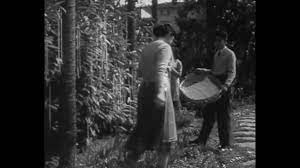 Người dân có một vụ mùa spaghetti bội thu do đã tiêu diệt được gần như toàn bộ bọ đầu dài - loài vật gây hại lớn cho loại cây trồng này.