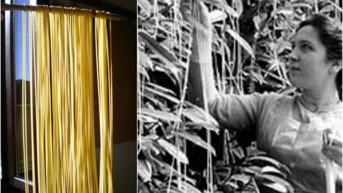 Vì vậy, nhiều người đã gọi điện đến đường dây nóng của hãng tin này để hỏi về việc có thể mua cây mì spaghetti ở đâu và trồng như thế nào.