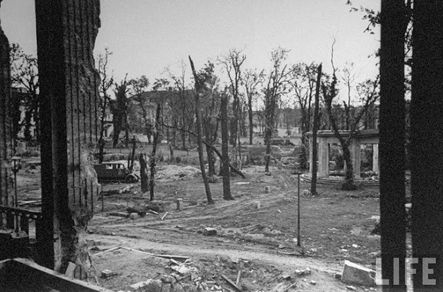 Ngay cả cây cối ở Berlin cũng trở nên trơ trụi, thậm chí là bị cháy xem, gãy ngang thân vì trúng bom.