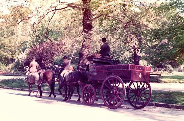 Một xe ngựa phục vụ du khách chạy trong công viên ở London.