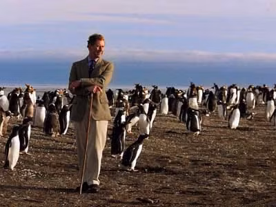 Ngoài cừu, quần đảo Falkland còn là nơi sinh sống của một số loài động vật khác như chim ưng, chim hải âu, chim cánh cụt...