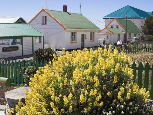 Khác với nhiều nơi trên thế giới, quần đảo Falkland không có chuỗi các cửa hàng.