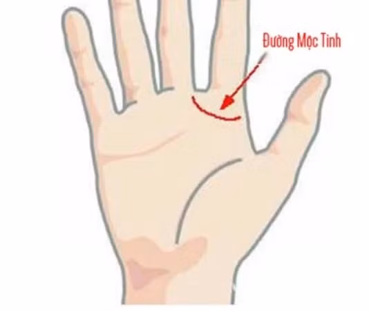 Co 1 trong 6 diem nay ban co quy nhan phu tro