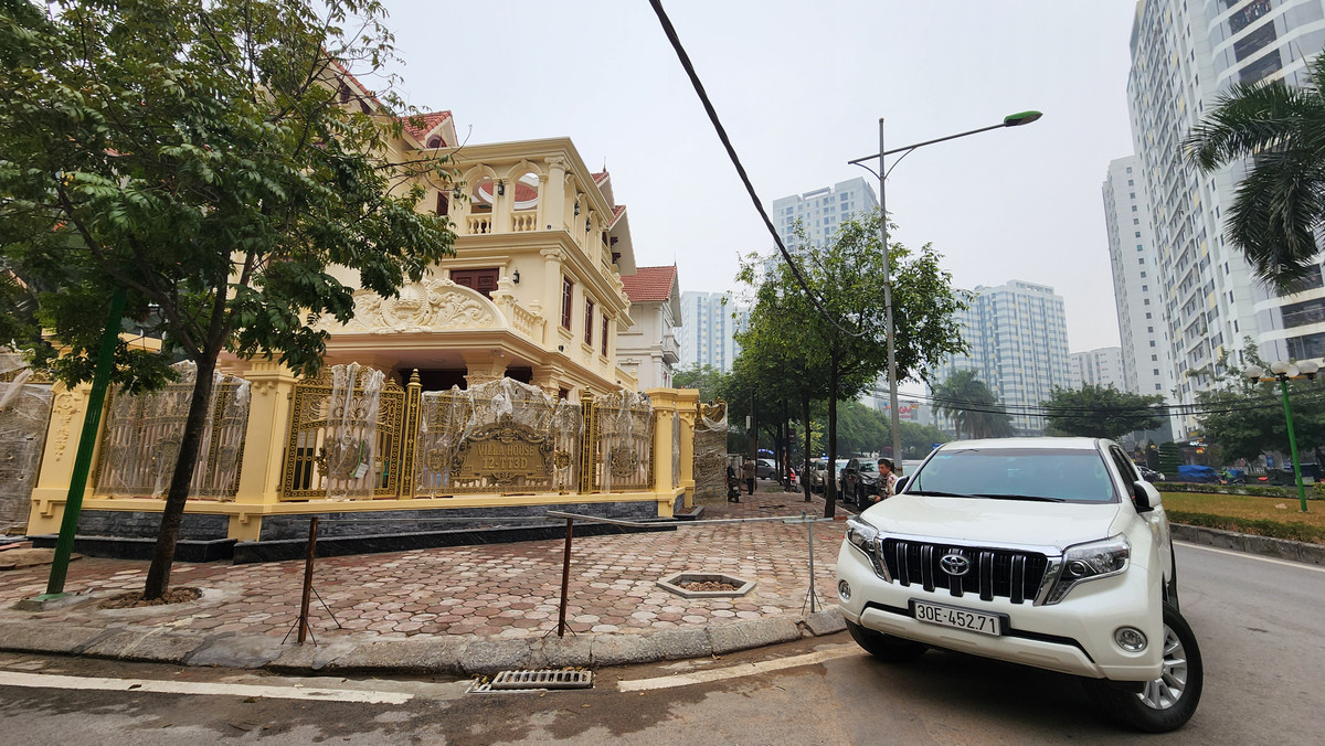 Dang thao do hang rao chan via he truoc can villa Linh Dam-Hinh-2