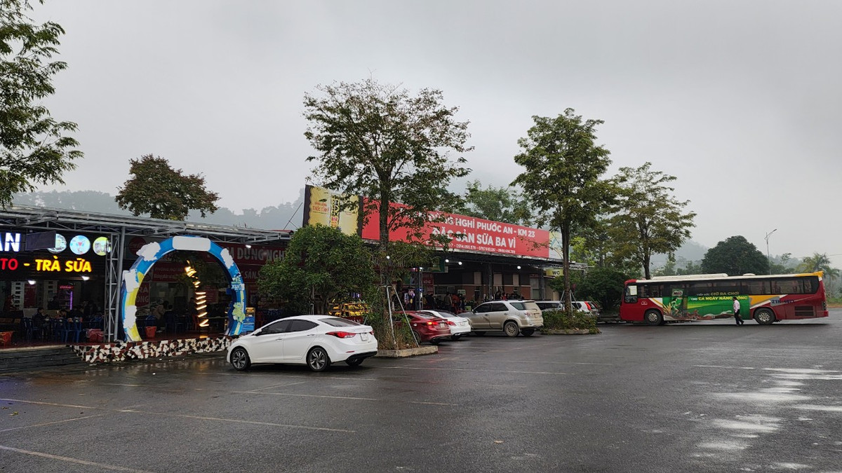 Sau sai pham dau thau cua VEC, 7 nha dau tu bi kien