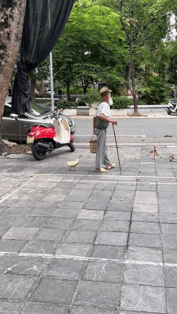 Khoanh khac de thuong cua cu ong cung thu cung di dao mat