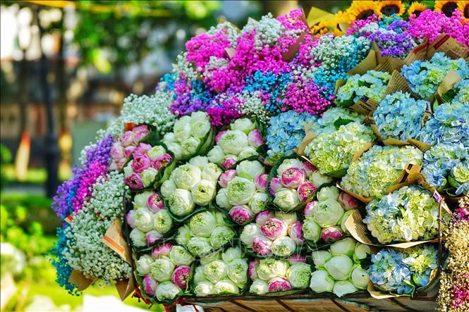 Những xe hoa rực rỡ sắc màu đã trở thành một nét đẹp bình dị, độc đáo, đặc trưng của phố phường Hà Nội trong tiết trời Thu.