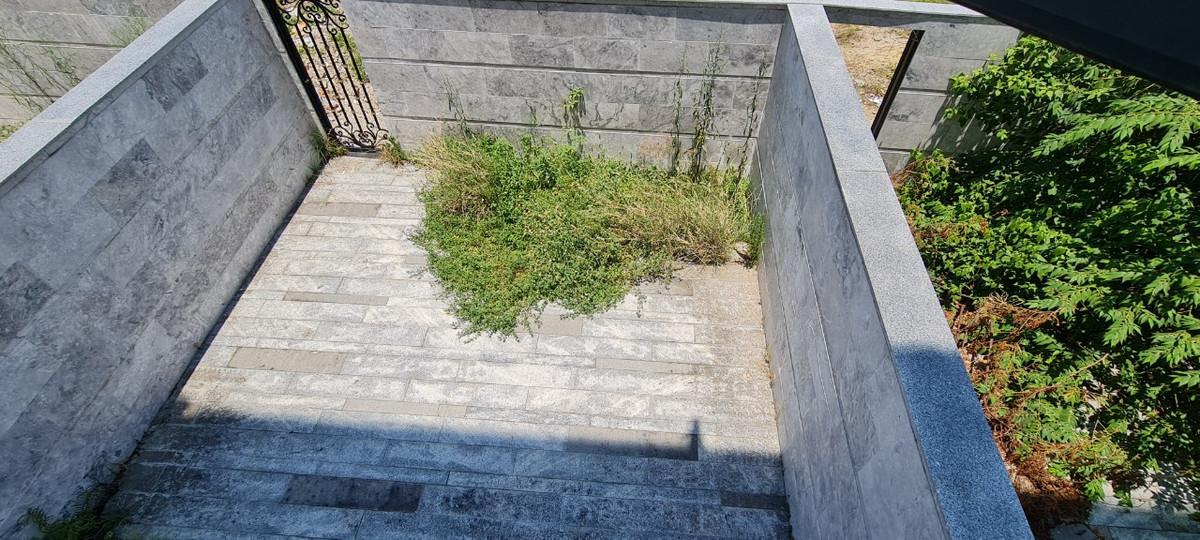 Trong khi đó, cỏ dại đã nhanh chân bò từ vỉa hè vào đến sân vườn các căn shophouse tiền tỷ.