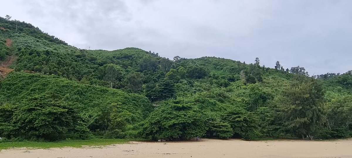 Ve dep hoang so, yen binh o ngoi lang nho duoi chan deo Hai Van-Hinh-8