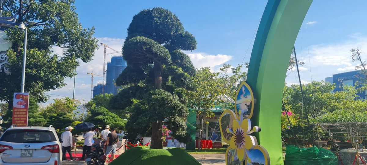 Ngam loai cay “tu quy” khien dai gia chi tien ty san lung