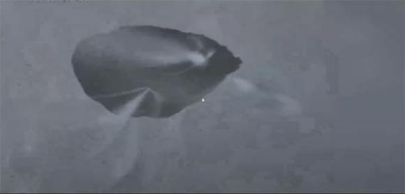 Sao choi da dua nuoc toi Trai dat?-Hinh-4