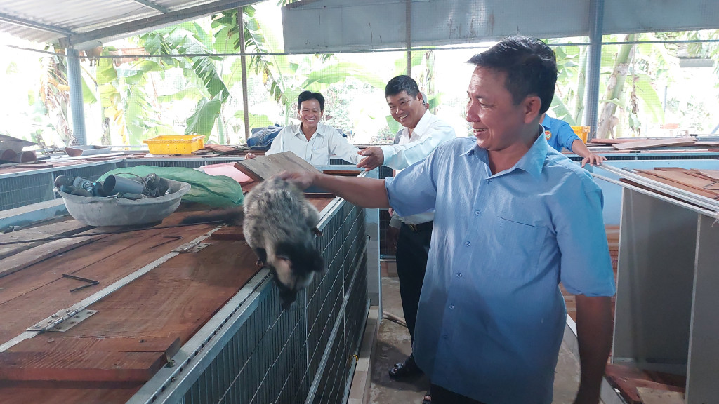 Nuoi chon huong, mot nong dan o Long An thu nua ty moi nam