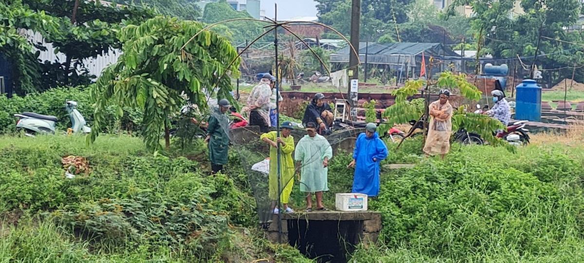 Kênh Phú Lộc (quận Thanh Khê, TP. Đà Nẵng) sáng 25/9, trời chưa tạnh mưa đã có rất đông người tập trung kéo cá.
