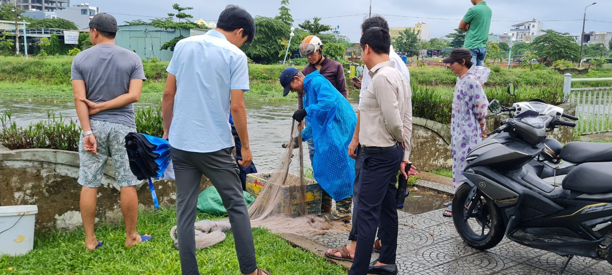Trời tạnh mưa, khu vực kéo lưới càng thêm nhộn nhịp.