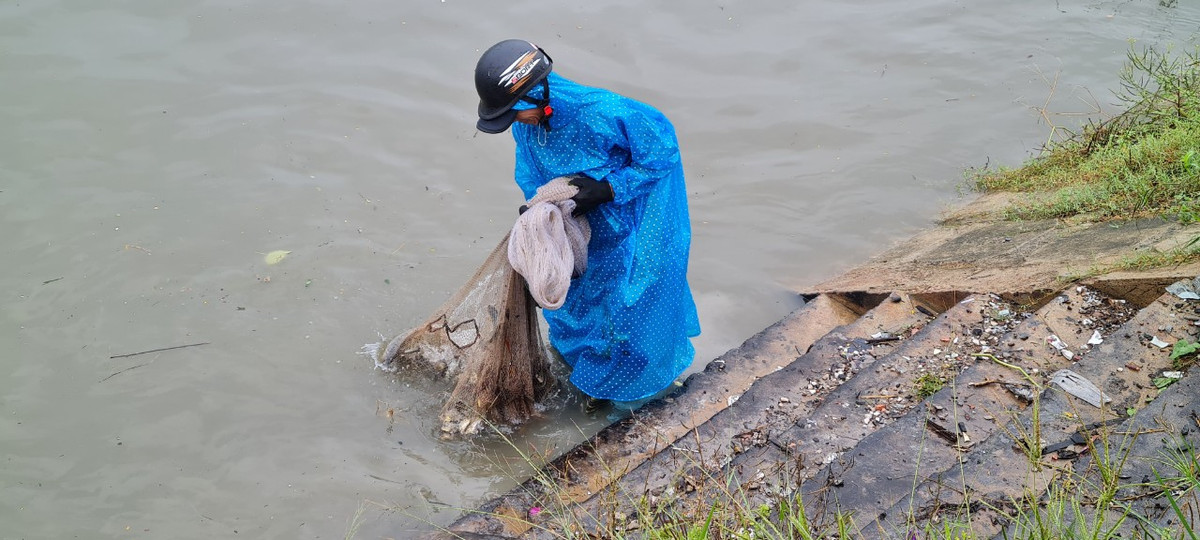 Mẻ nào cũng đầy cá khiến nhiều người phấn khởi.