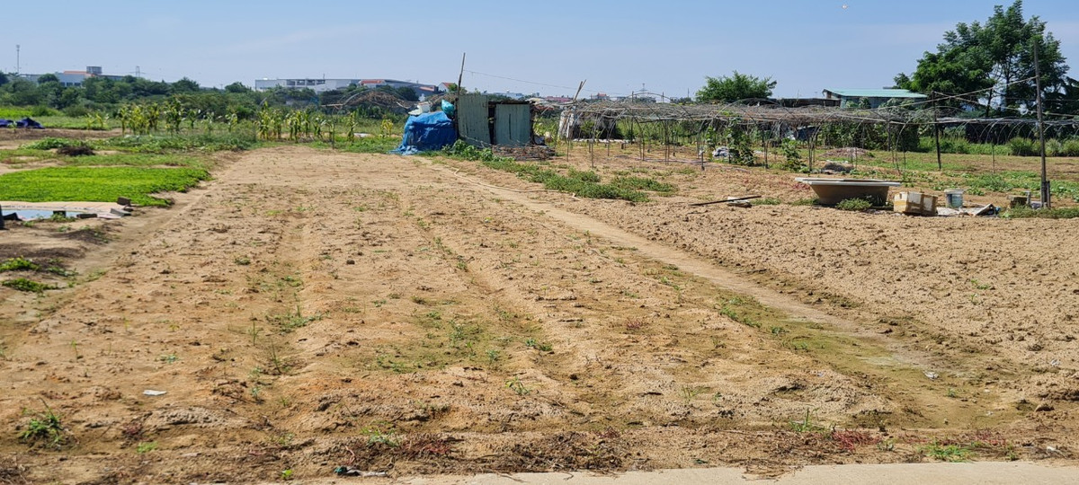 "Tiền giống, tiền công, tiền điện...ngó rứa chứ tốn nhiều", bác N. nhẩm tính "Giờ chỉ trông trời mưa xuống mới có hi vọng.”