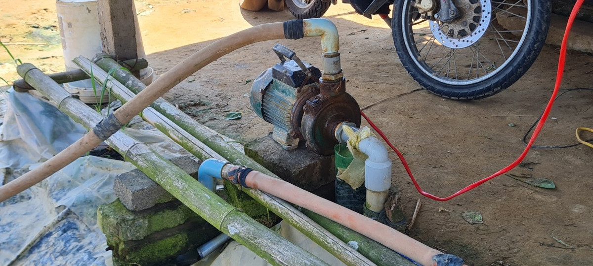 Do nước sông Cẩm Lệ liên tục nhiễm mặn, các hộ trồng rau phải sử dụng nước giếng khoan để tưới tiêu. Thế nhưng, nhiều nông dân tại đây cho biết, nước giếng lại nhiễm phèn, nhiễm lợ khiến cây trồng khó phát triển.