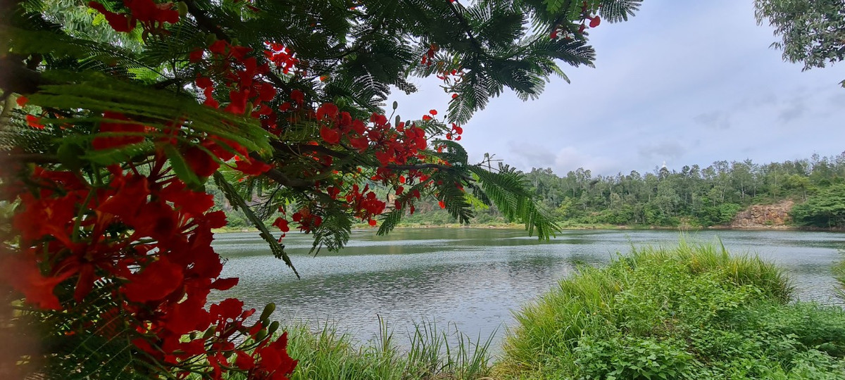 Tham chon bong lai tien canh o ho tu nhien dep nhat Da thanh-Hinh-2