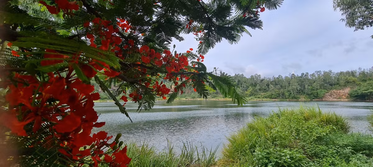 Tham chon bong lai tien canh o ho tu nhien dep nhat Da thanh-Hinh-2