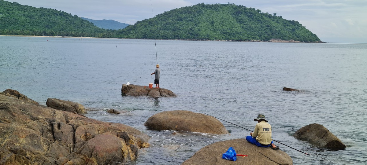Không khó để bắt gặp các cần thủ buông câu giữa khung cảnh thiên nhiên thơ mộng.