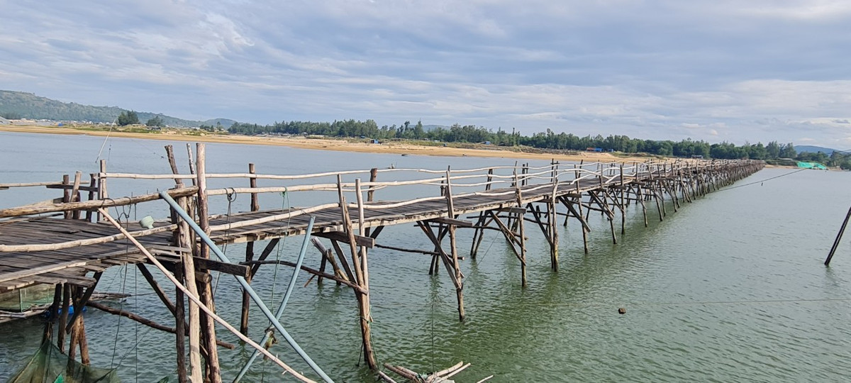 Theo người dân ở đây chia sẻ, phần ván cầu làm từ thân cây phi lao, bạch đàn; thành cầu làm bằng thân tre già.