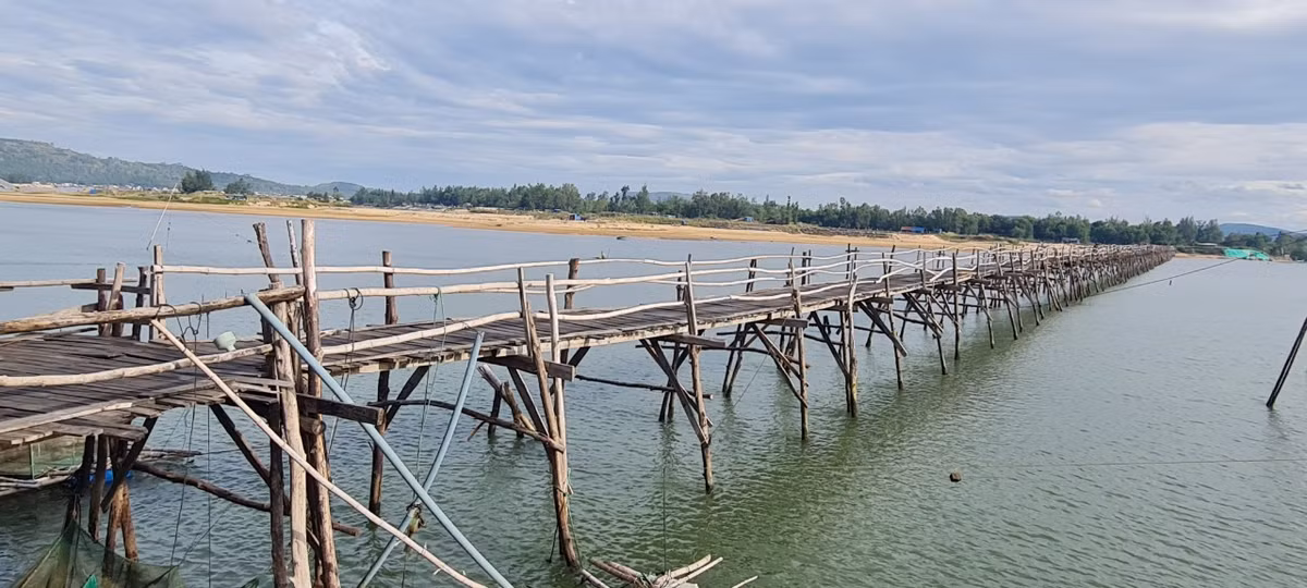 Theo người dân ở đây chia sẻ, phần ván cầu làm từ thân cây phi lao, bạch đàn; thành cầu làm bằng thân tre già.