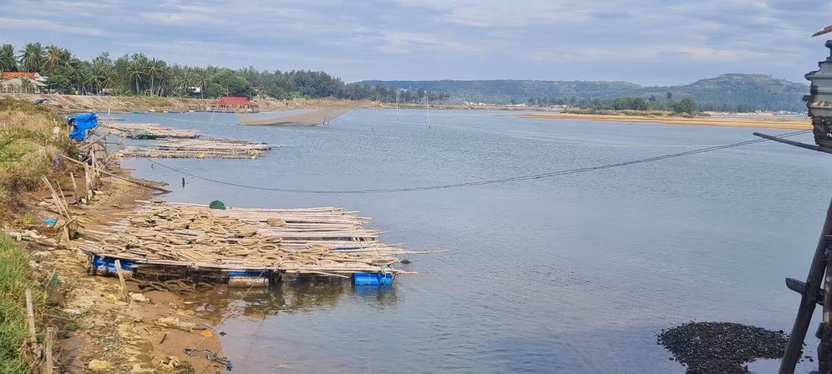 Khung cảnh thiên nhiên với vẻ đẹp mộc mạc, đơn sơ của miền sông nước Phú Yên.